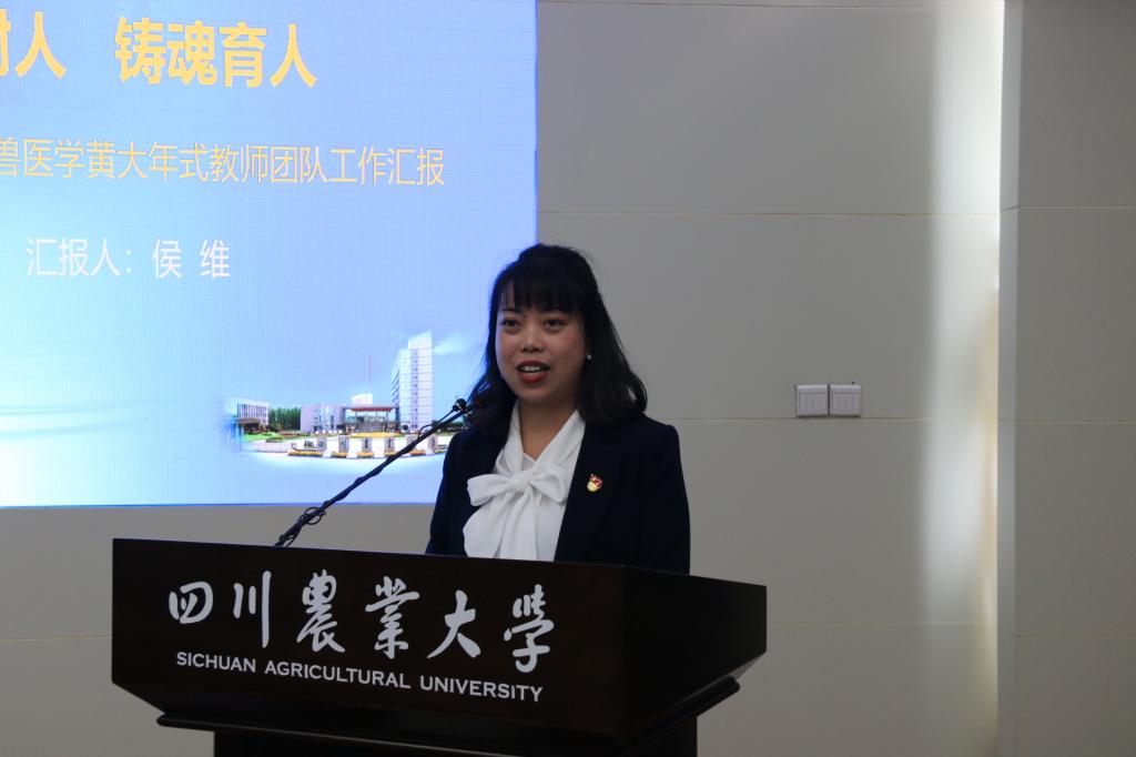 美狮贵宾会官网入口