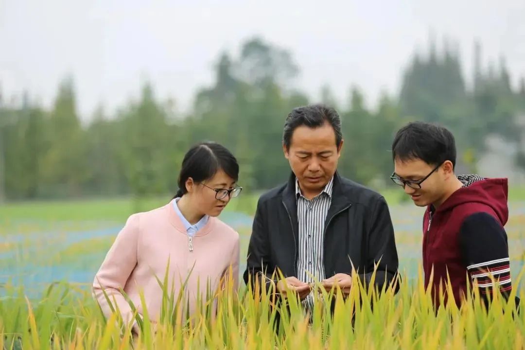 美狮贵宾会官网入口